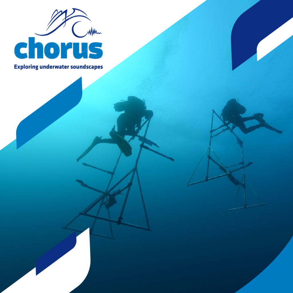 Chaire Chorus