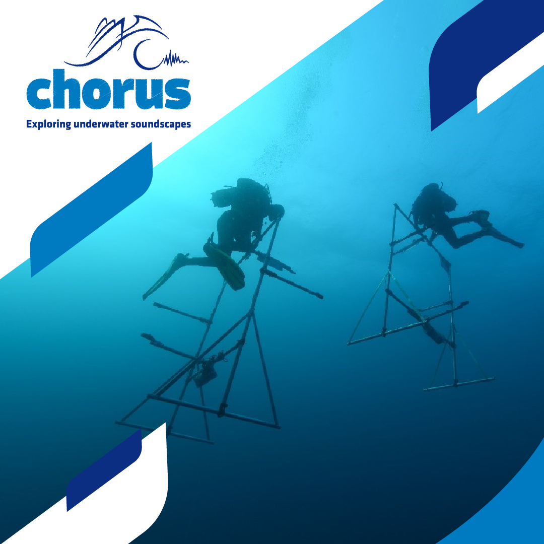 Read more about the article Chaire Chorus