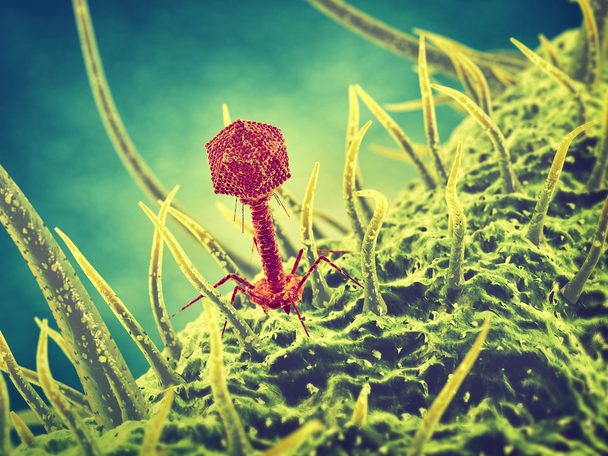 Read more about the article Phagyzer