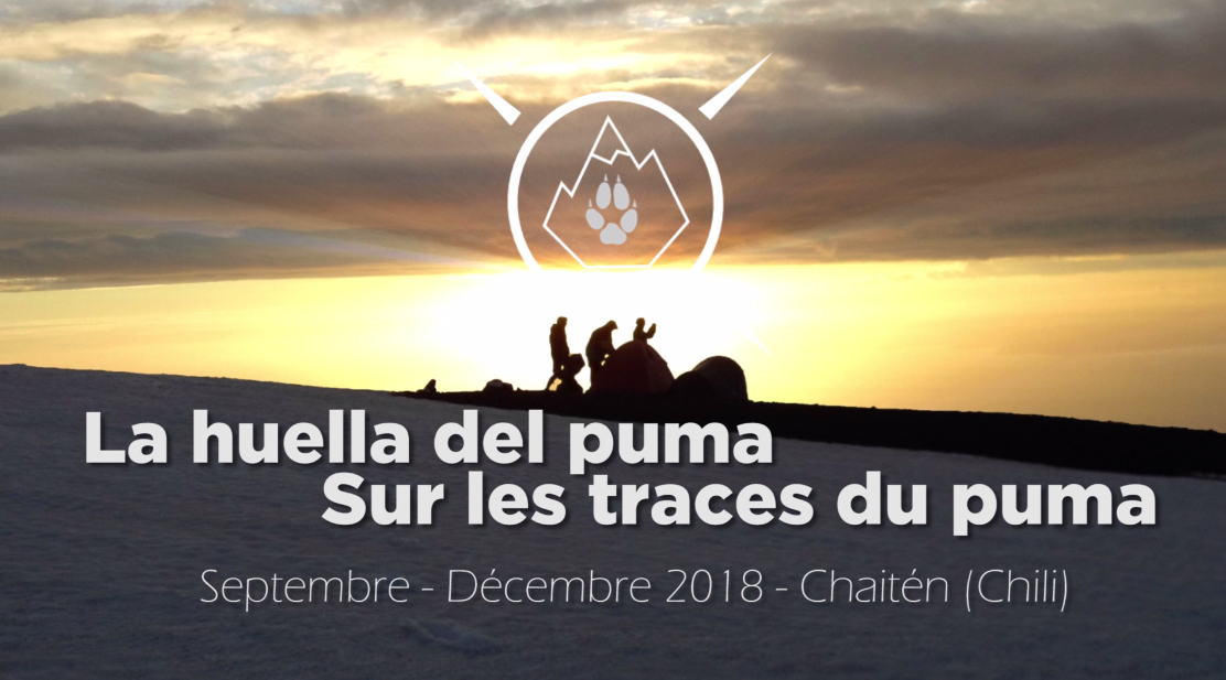 Read more about the article La huella del puma