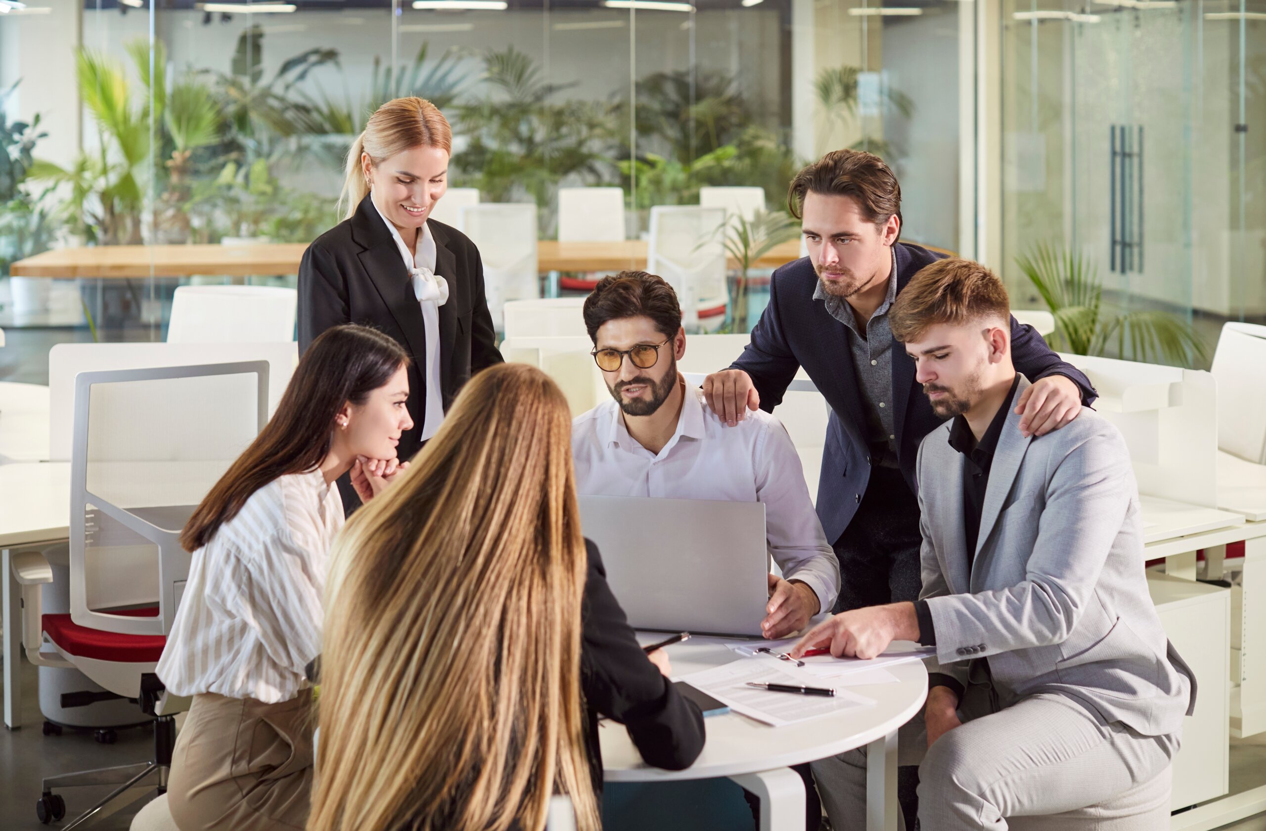 Read more about the article Harmate